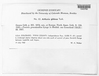 Image Associated With the Occurence